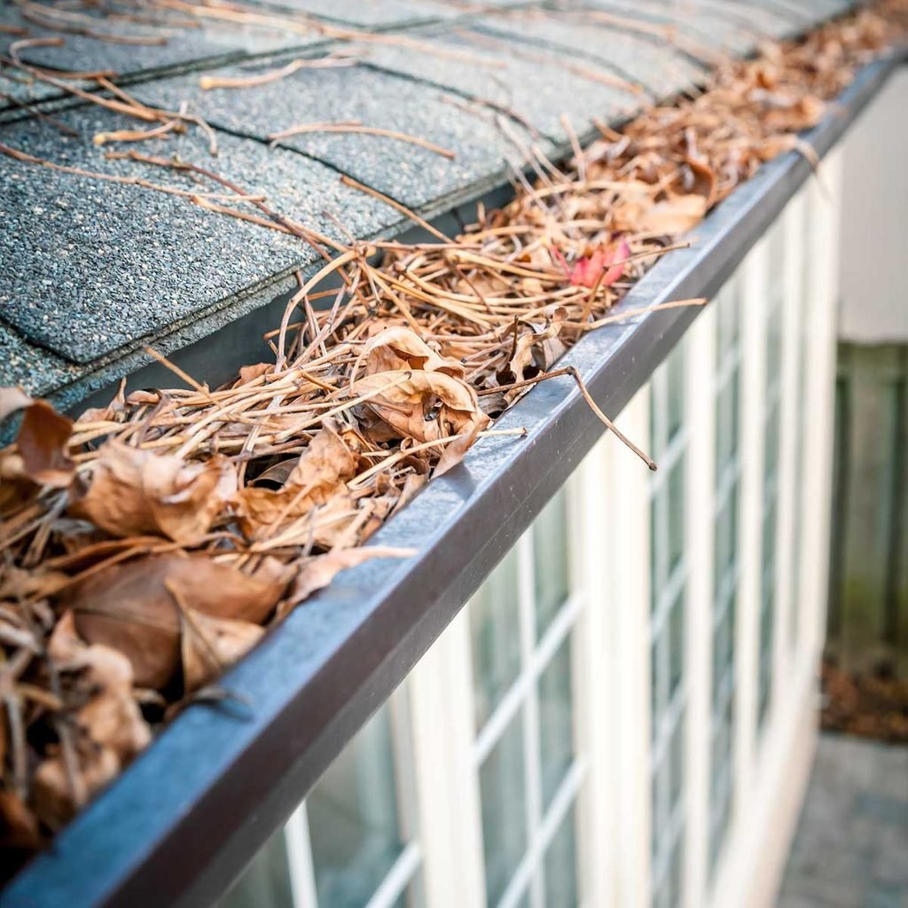 Gutter Cleaning Products for Solar