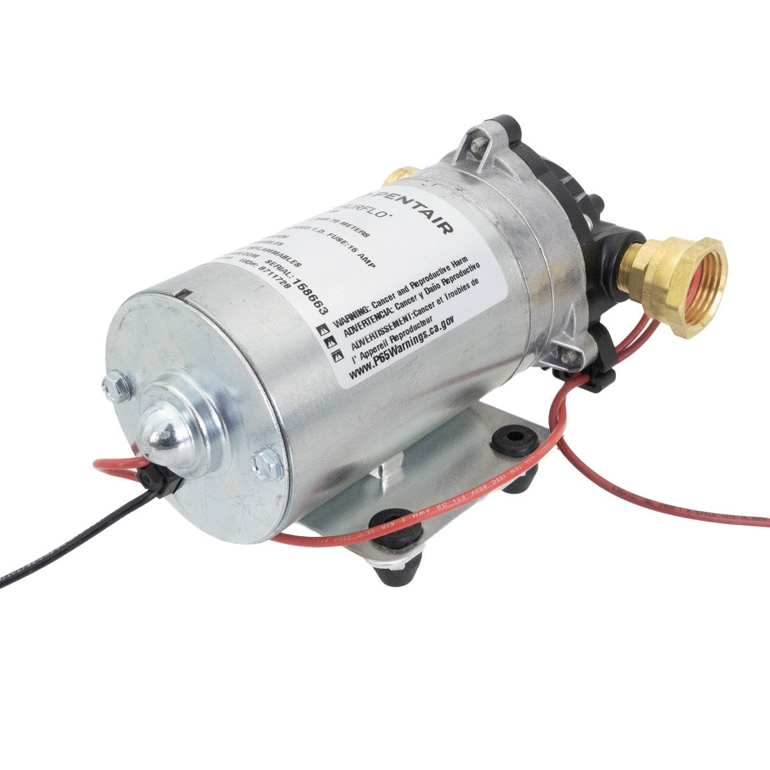 Pentair Shurflo Delivery Pump